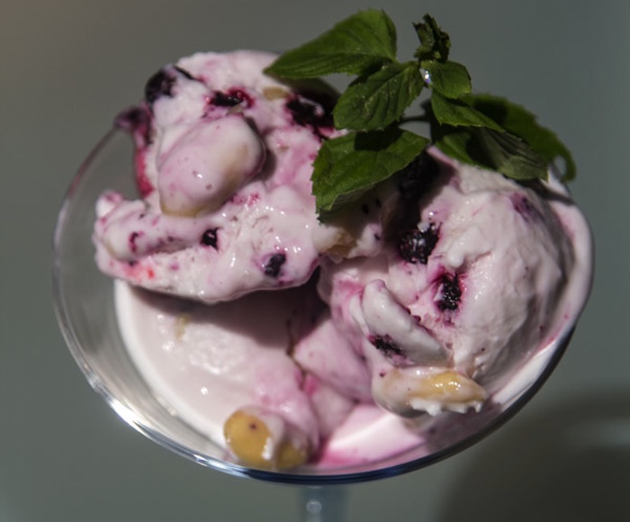 frozen-yogurt-spitiko-1